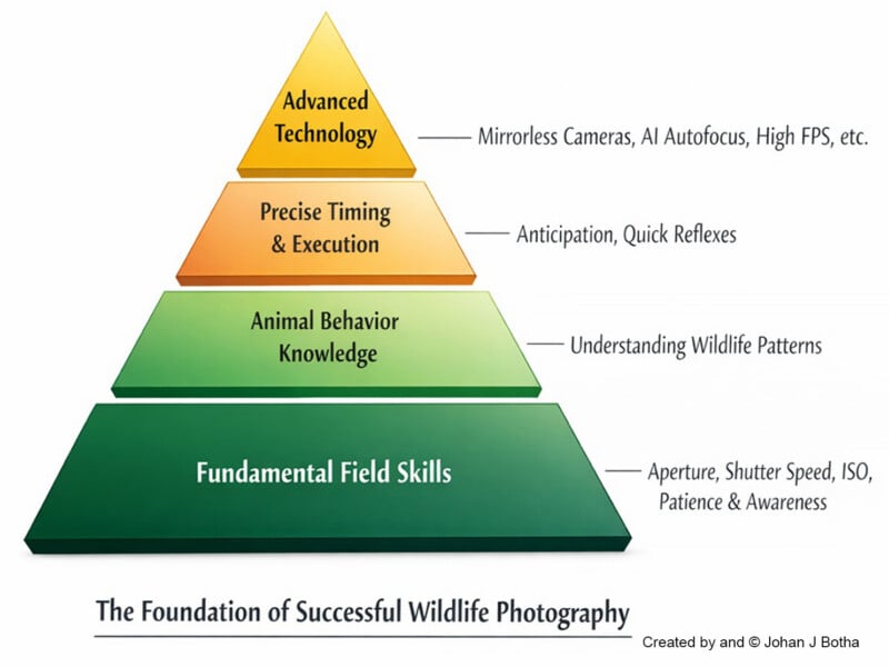 The four-level pyramid diagram illustrates the foundations of successful wildlife photography: basic field skills, knowledge of animal behavior, precise timing and execution, and advanced technology. Each level lists the associated skills or tools.