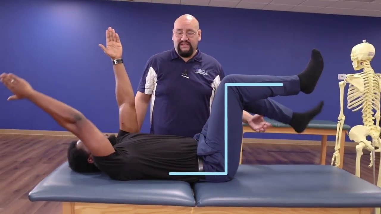 Deadbug Exercises - The key to core strength and back pain relief - YouTube