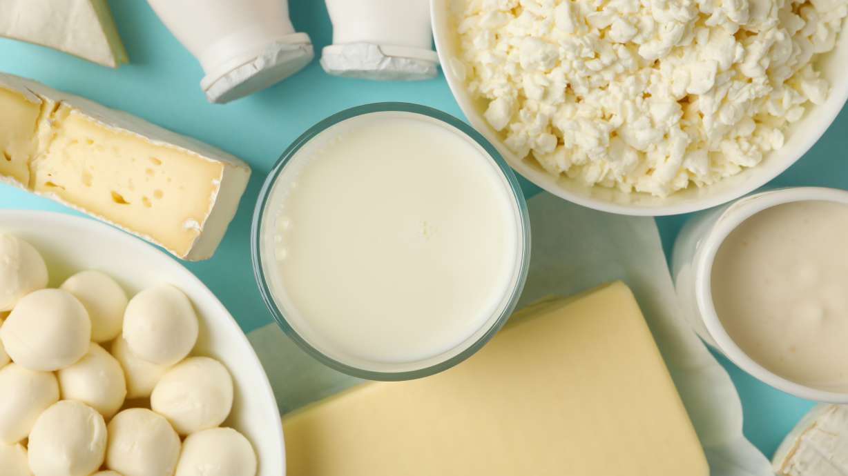 Protein Plus Benefits: Why Dairy is a Nutritious and Smart Choice