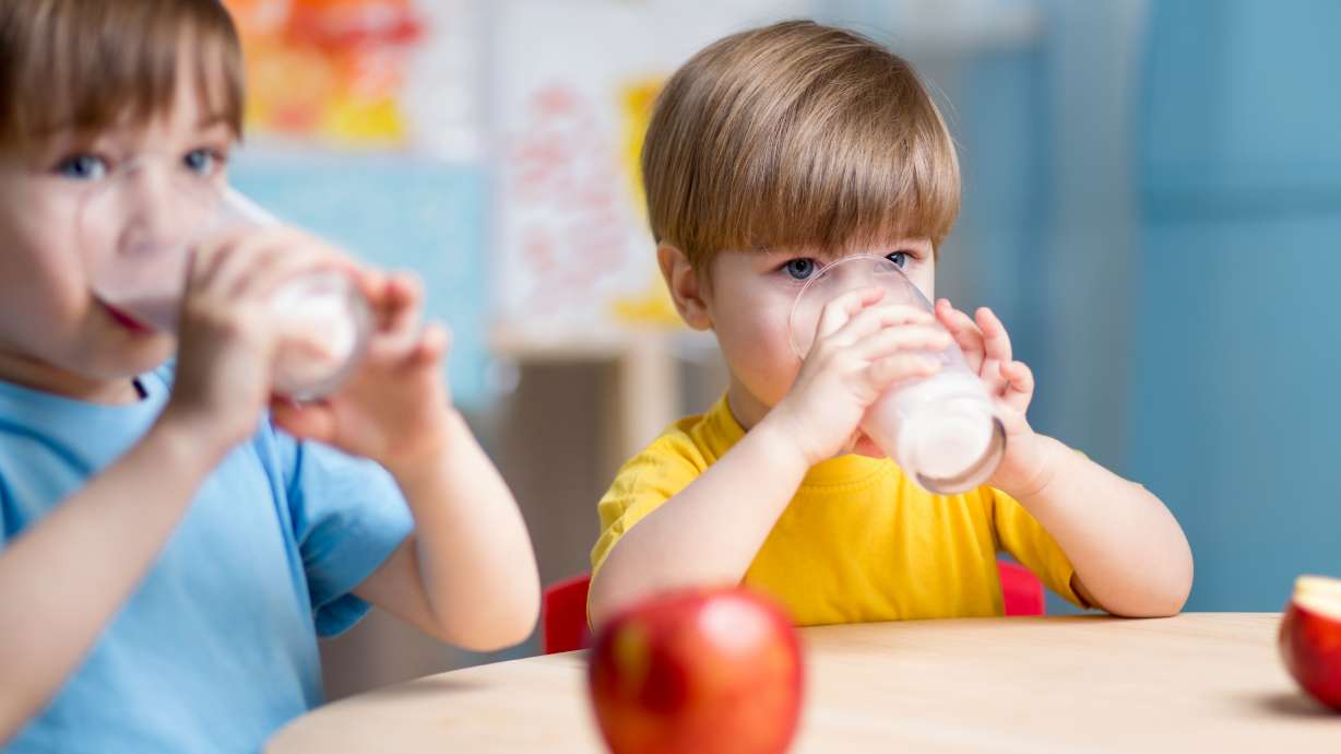 Whole milk in schools: What parents need to know about this nutritional change